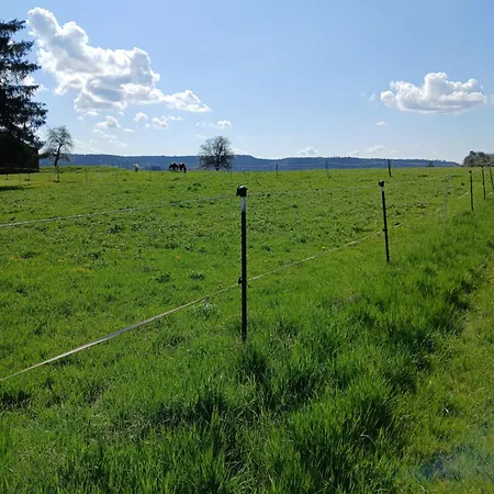 Landgasthof Zum Seehof Hotel Rottweil
