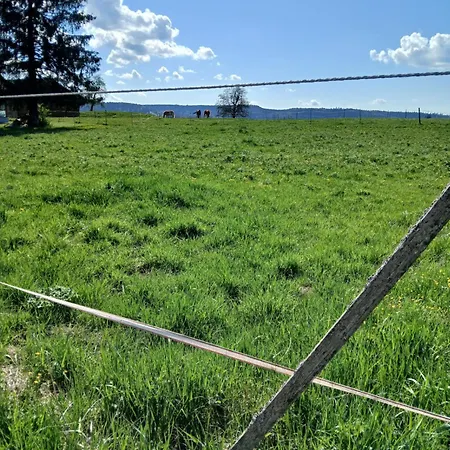 Hotel Landgasthof Zum Seehof 2*