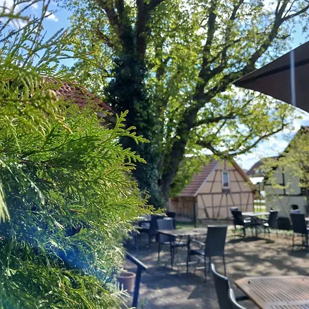 Landgasthof Zum Seehof Hotel