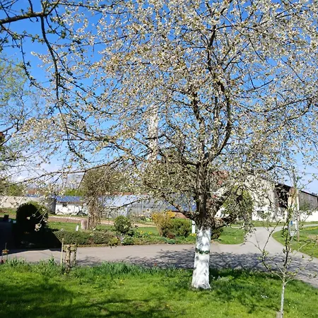 Landgasthof Zum Seehof Rottweil