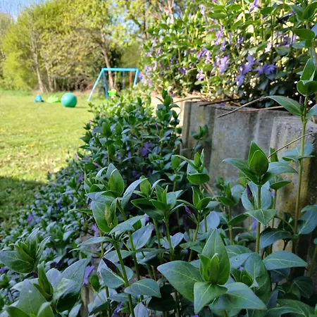 Hotel Landgasthof Zum Seehof Rottweil